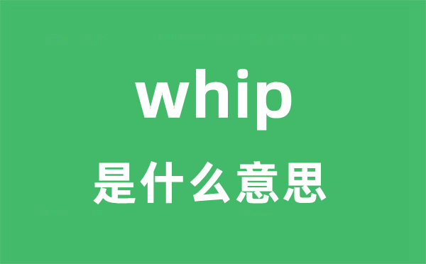 whip是甚么意义