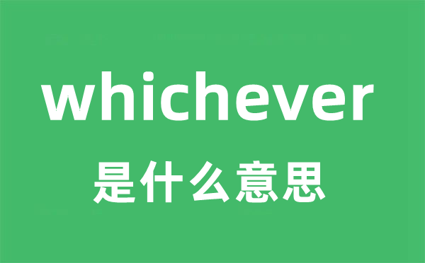 whichever是甚么意义