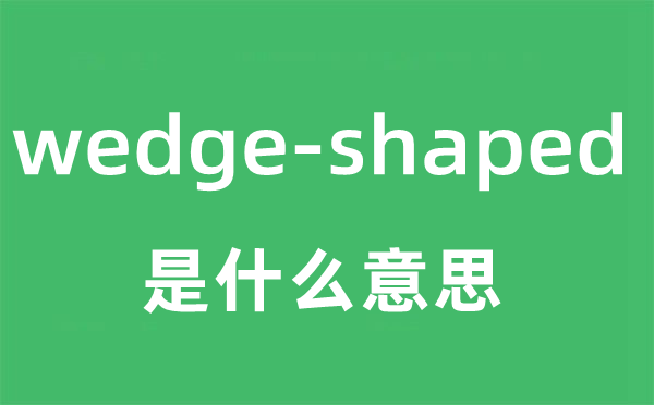 wedge-shaped是甚么意义