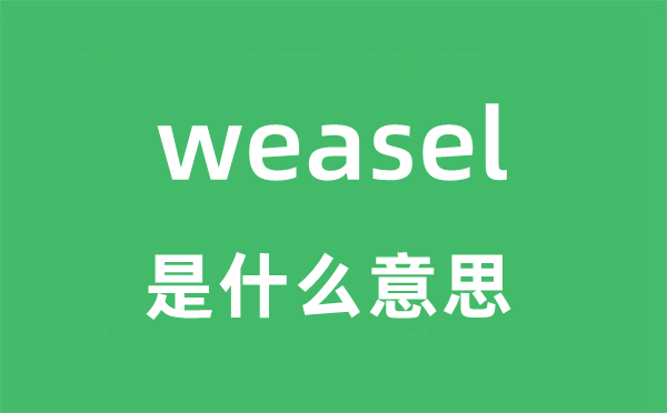 weasel是甚么意义