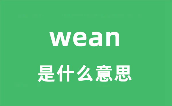 wean是甚么意义