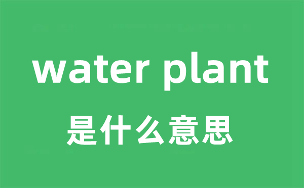 water plant是甚么意义