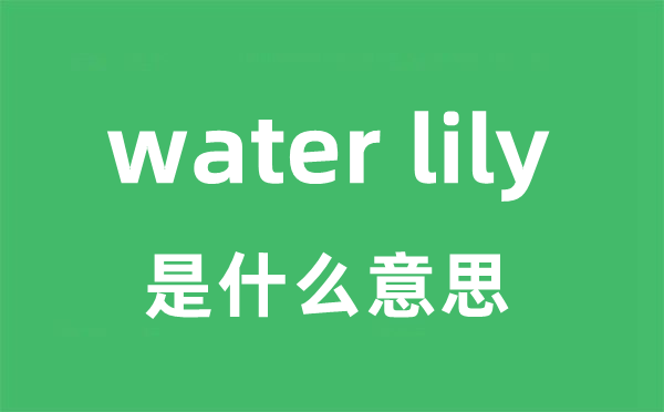 water lily是甚么意义