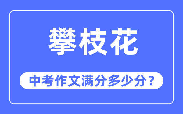 攀枝花中考作文满分几多分,攀枝花市中考作文评分规范及细则