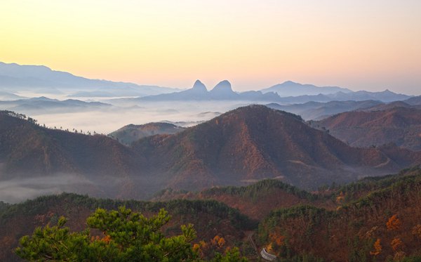 山东有哪些大学,山东省一切大学名单一览表