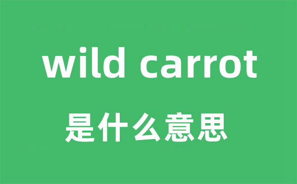 wild carrot是甚么意义