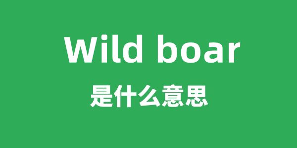 Wild boar是甚么意义