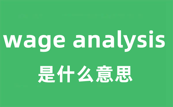 wage analysis是甚么意义