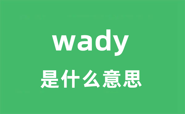 wady是甚么意义