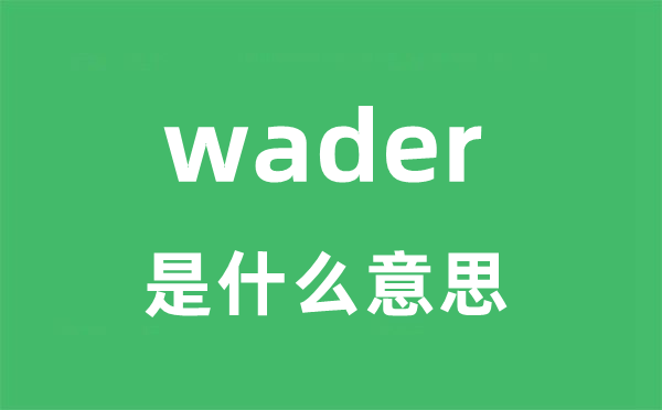 wader是甚么意义