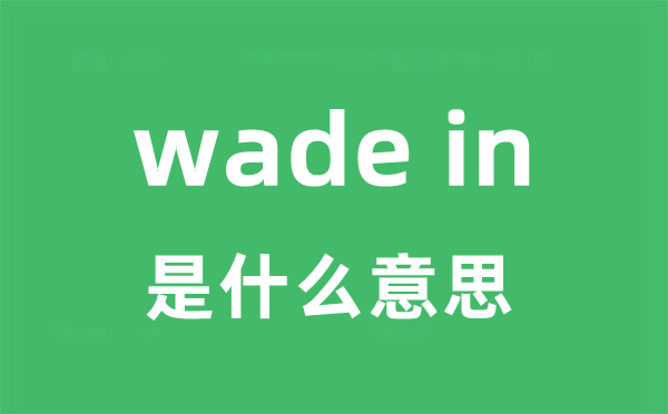 wade in是甚么意义