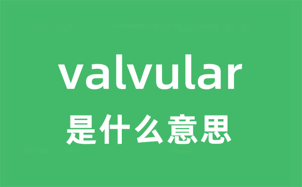 valvular是甚么意义