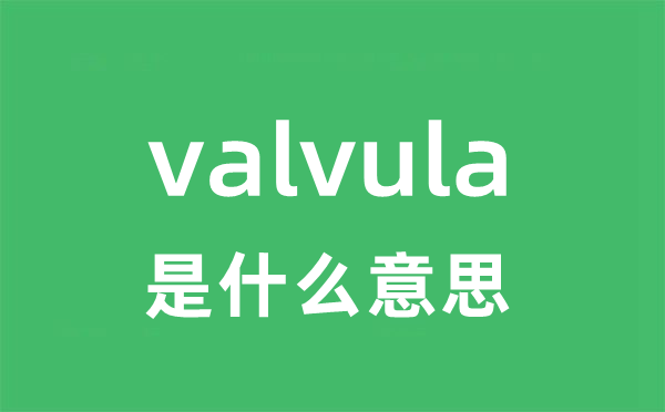 valvula是甚么意义