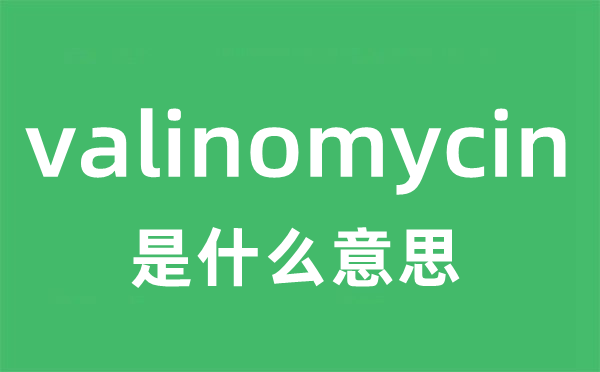 valinomycin是甚么意义