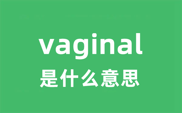 vaginal是甚么意义