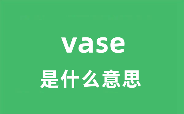 vase是甚么意义