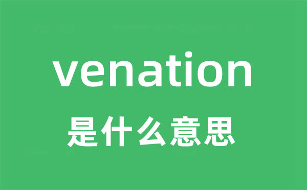 venation是甚么意义