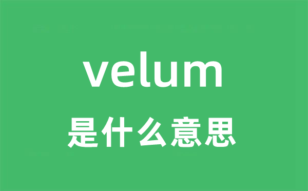 velum是甚么意义