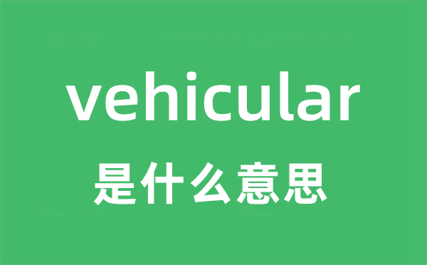 vehicular是甚么意义