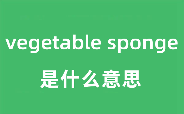 vegetable sponge是甚么意义