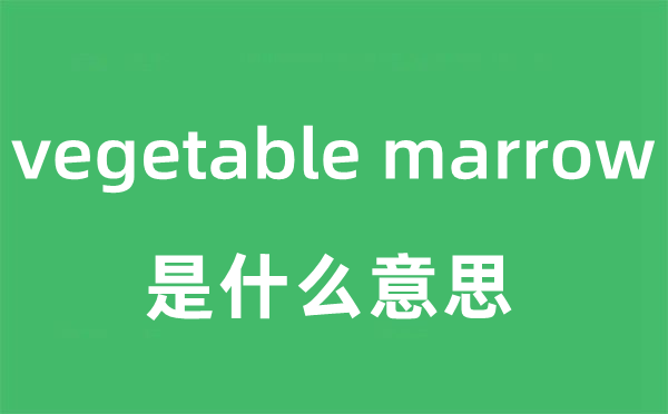 vegetable marrow是甚么意义