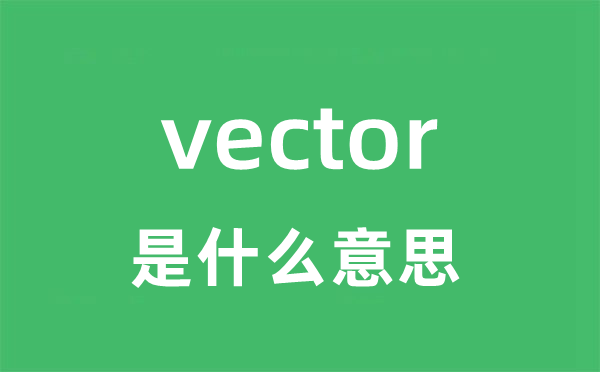 vector是甚么意义