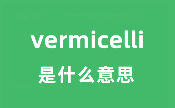 vermicelli是甚么意义