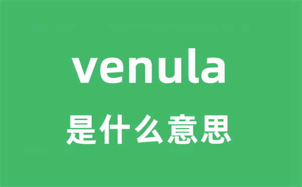venula是甚么意义