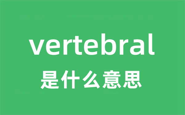 vertebral是甚么意义