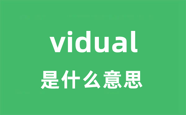 vidual是甚么意义
