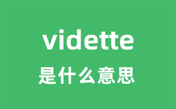 vidette是甚么意义