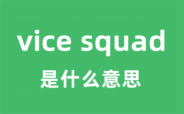 vice squad是甚么意义
