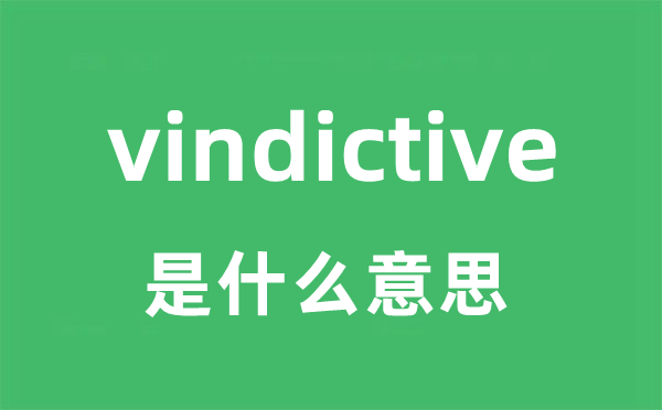 vindictive是甚么意义