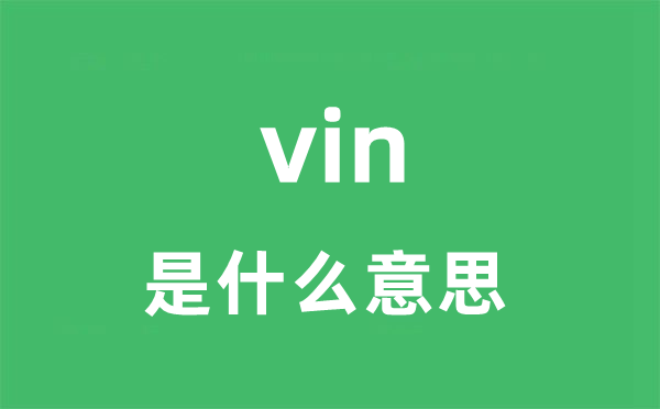 vin是甚么意义