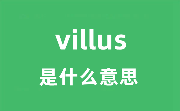 villus是甚么意义