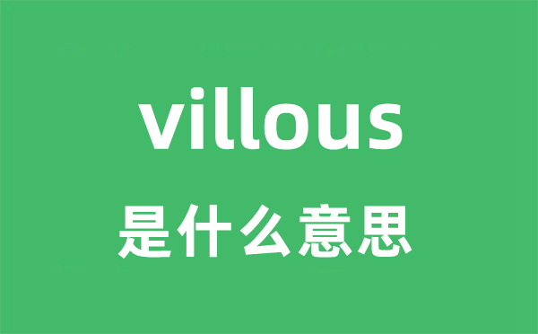 villous是甚么意义