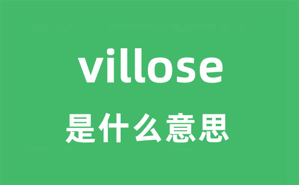 villose是甚么意义
