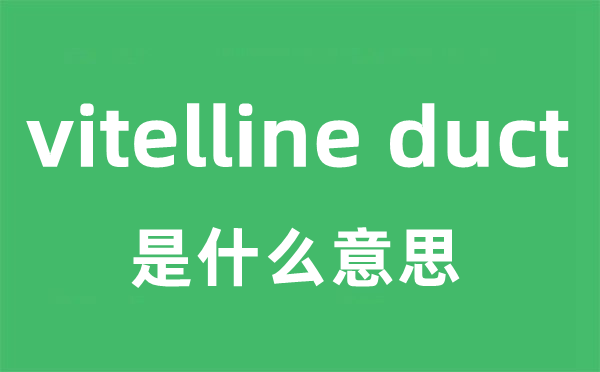 vitelline duct是甚么意义