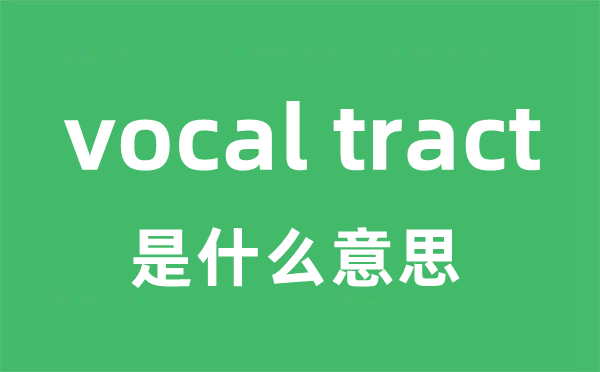 vocal tract是甚么意义