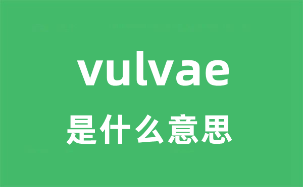 vulvae是甚么意义