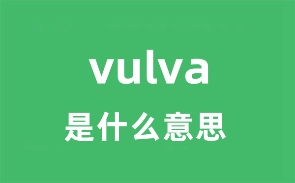 vulva是甚么意义