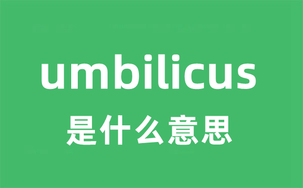 umbilicus是甚么意义