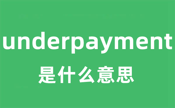 underpayment是甚么意义