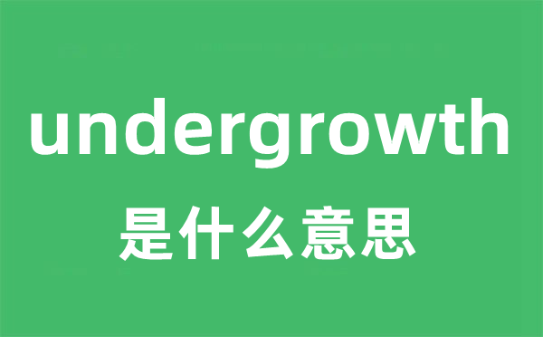 undergrowth是甚么意义