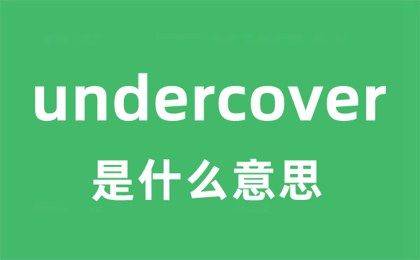 undercover是甚么意义