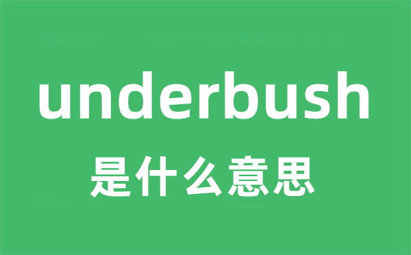 underbush是甚么意义