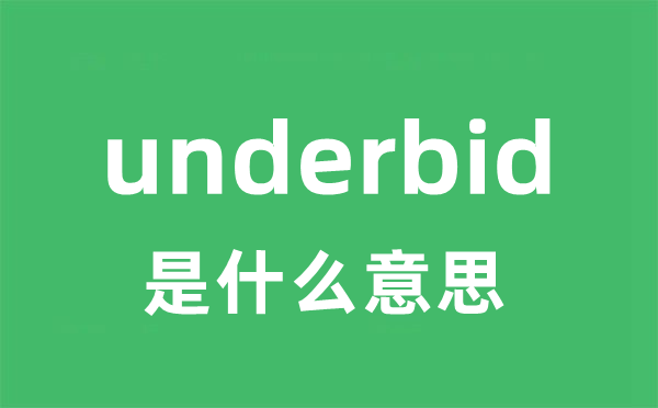 underbid是甚么意义