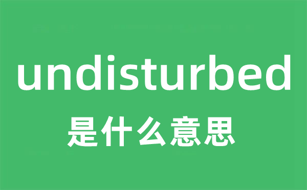 undisturbed是甚么意义