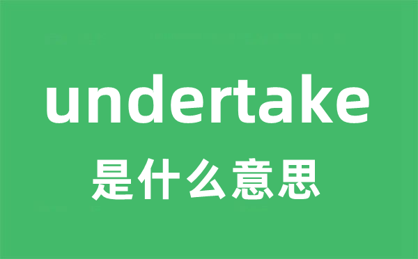 undertake是甚么意义