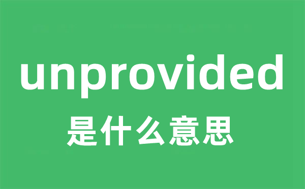 unprovided是甚么意义